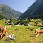 Kromarin